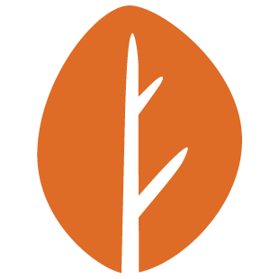 playcliquenet.com favicon